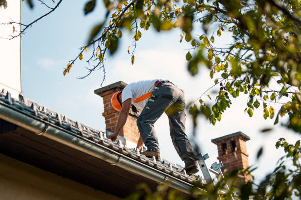 Roof Repair Estimates in Luck, WI