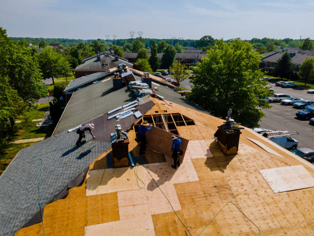 Best Metal Roofing Contractor  in Luck, WI