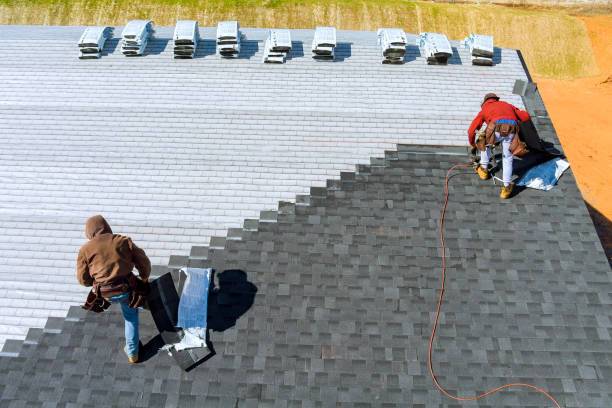 Best Roof Restoration Services  in Luck, WI