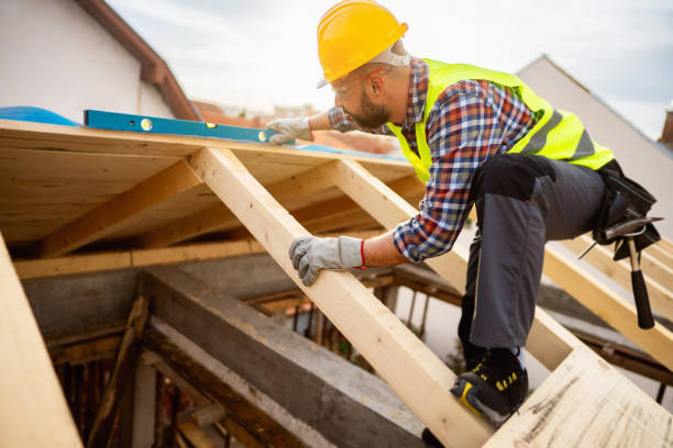 Best Roof Maintenance Services  in Luck, WI
