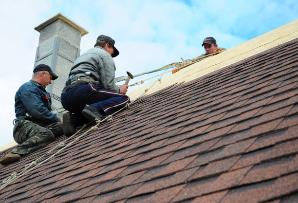 Best Local Roofing Companies  in Luck, WI